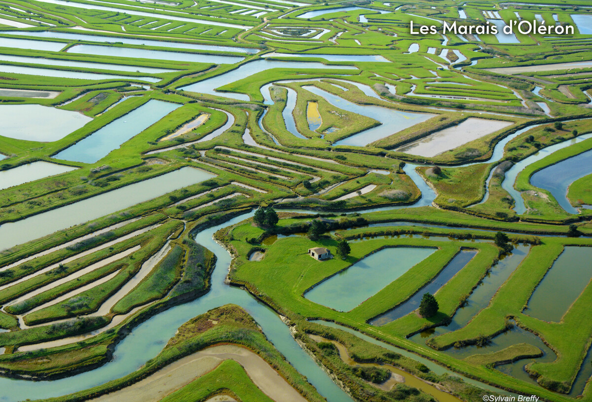 28_les_grosses_pierres_2025-88322938_0.jpg