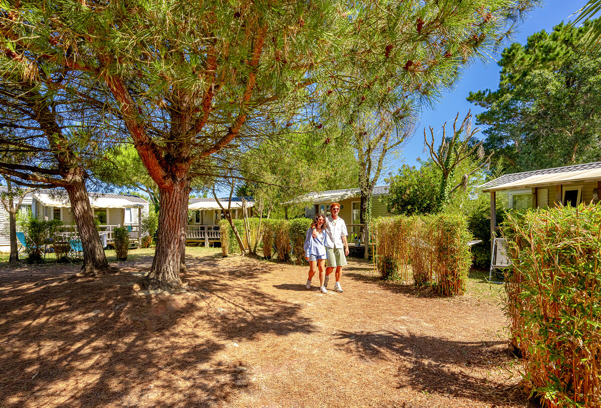 camping_grosses_pierres_2025_vo_39-99270669.jpg