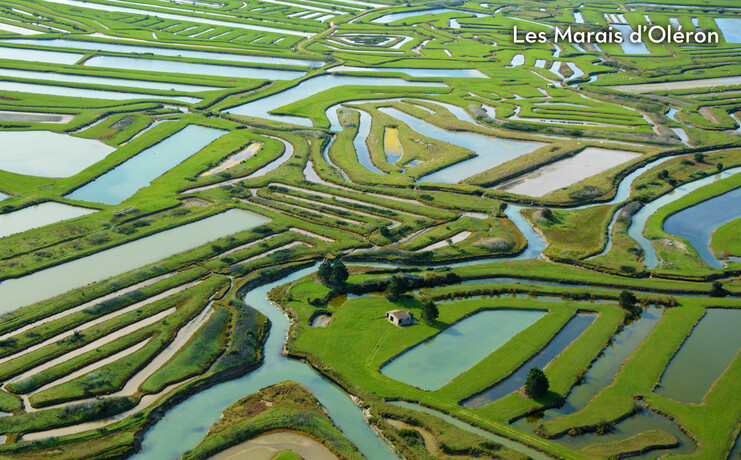28_les_grosses_pierres_2025-88322938_0.jpg