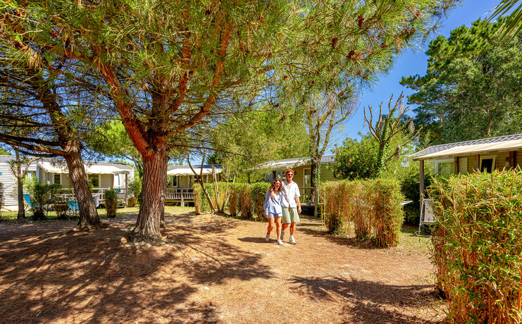 camping_grosses_pierres_2025_vo_39-99270669.jpg